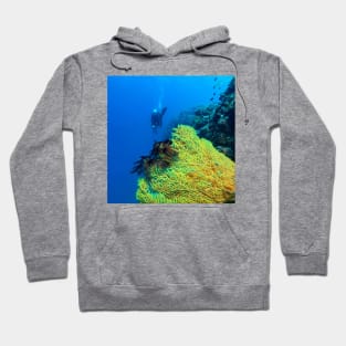 Alcyonacea Coral Hoodie